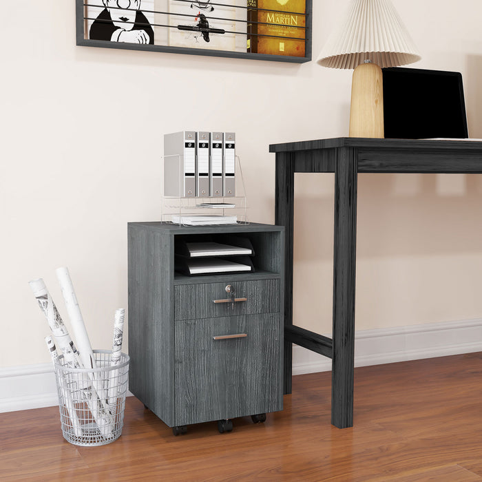 Vinsetto 2 Drawer Filing Cabinet with Lock for A4 Letter Size, Grey