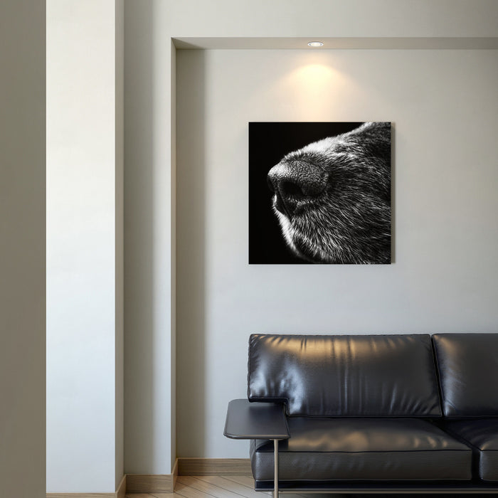 Ruffus Wall Art