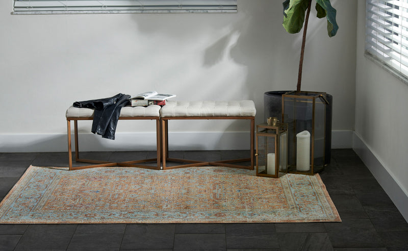Hailey Traditional 6'7\" x 9'6\" Area Rug in Orange Indoor Area Rug