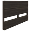 Nordika Queen Panel Headboard - Ebony