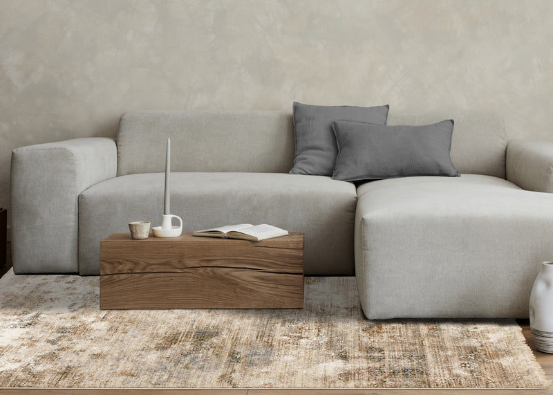 Sydney Beige Grey Cream Distressed Area Rug - 5'3\" x 7'10\"