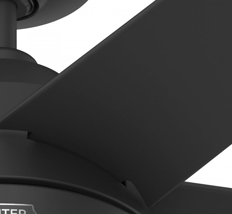 Skyflow Ceiling Fan with Light Fixture - Black