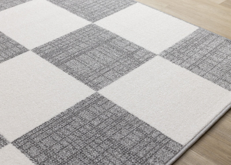 Covington Grey White Checkered Pattern Rug, 6'7\" x 9'10\" Indoor Area Rug