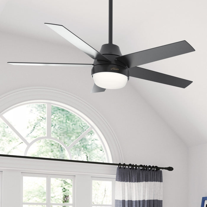 Aerodyne Ceiling Fan with Light Fixture - Black