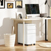 Vinsett 3 Drawer File Cabinet Steel Filing Cabinet A4 Legal Letter White