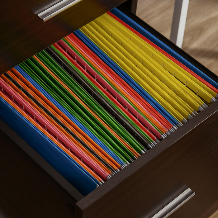 Vinsetto Filing Cabinet For Letter Or A4 Files W/ 2 Drawers Casters