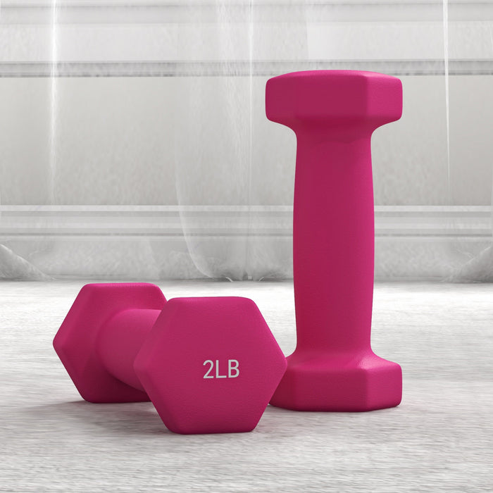 Soozier 20lb Dumbbells Set w/ Dumbbell Rack, 2 x 2lbs, 2 x 3lbs, 2 x 5lbs