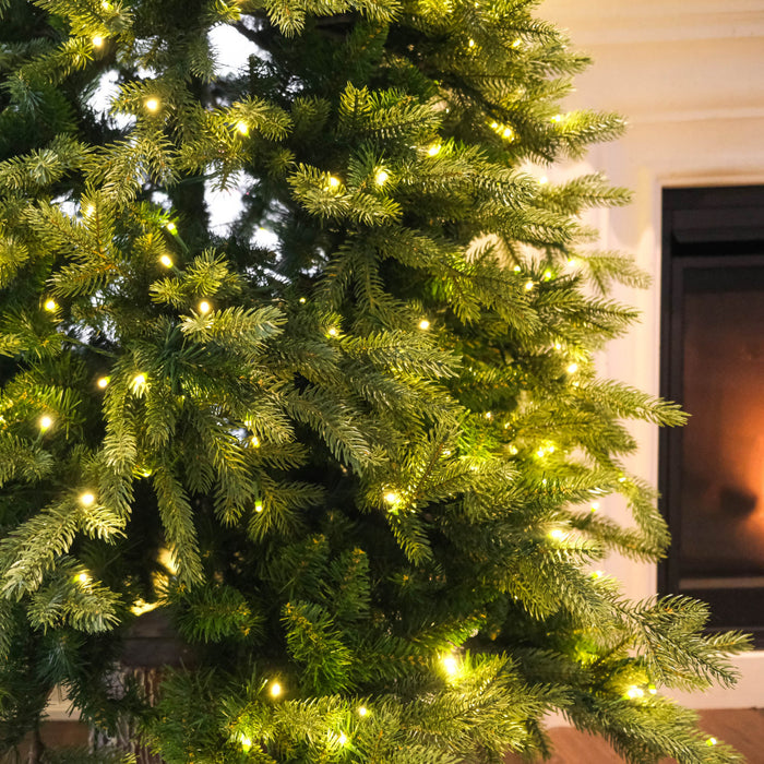 Fraser Fir 7' Pre-Lit Christmas Tree