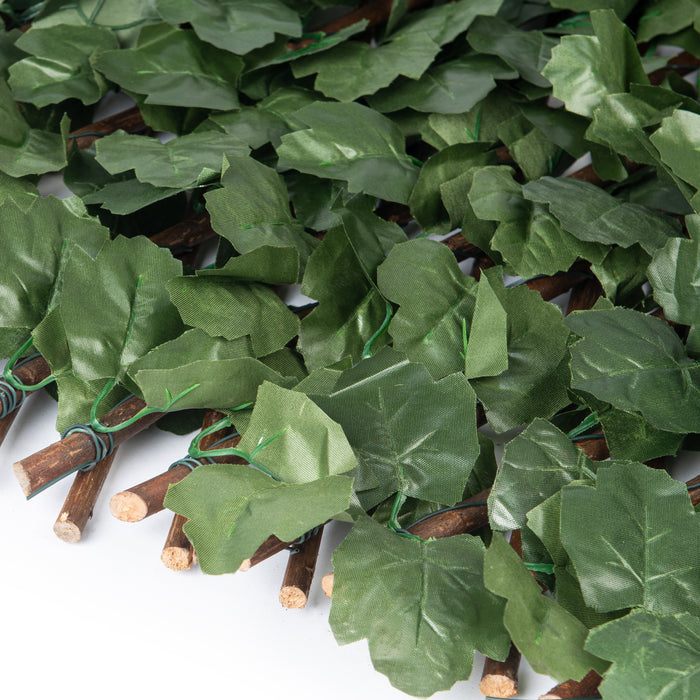 Willow Expandable Ivy Trellis - 36\" x 72\"