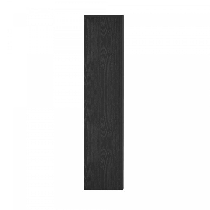 Rivington Modern 38\" Bookcase Cabinet in Black - Set of 2
