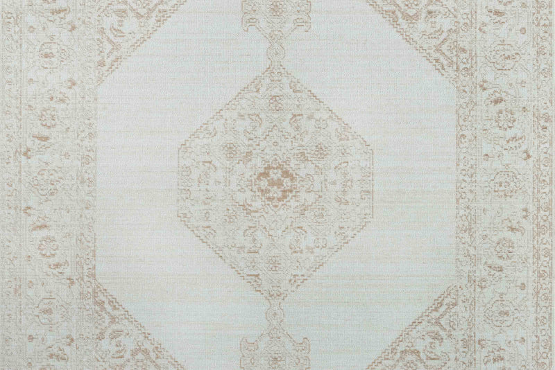 Maude Traditional 2'7\" x 8'0\" Runner Rug in Brown Indoor Area Rug