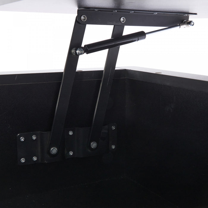 Ethan Lift-Top Coffee Table with LED Lighting and Storage Drawers,Black