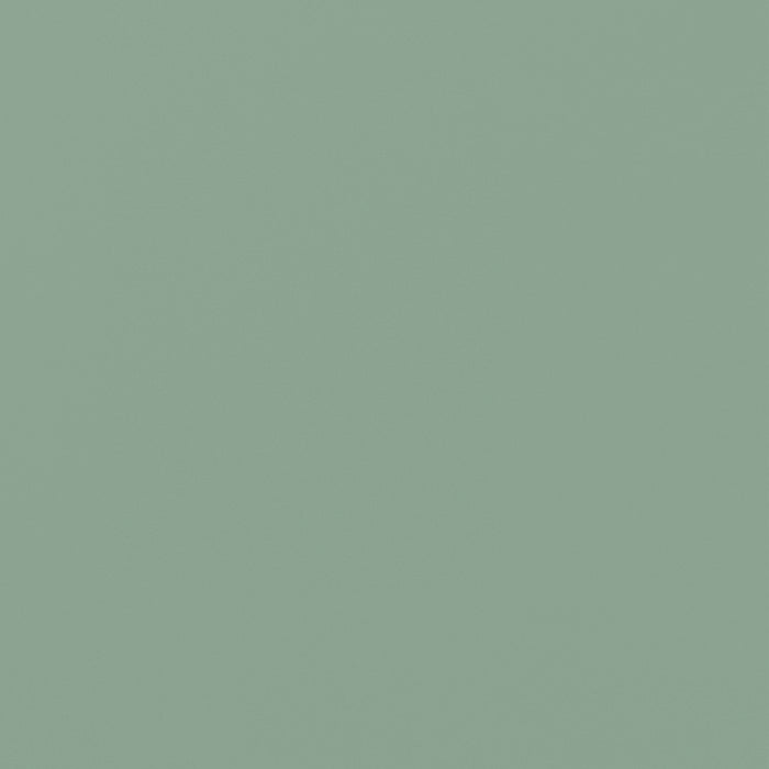 Naomi Modern 15\" Metal Storage Cabinet in Sage Green Armoire