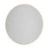 Reflections Integrated LED Wall Mirror IV