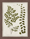 Green Leaves Framed Matted Glass Art – 26\" x 34\"
