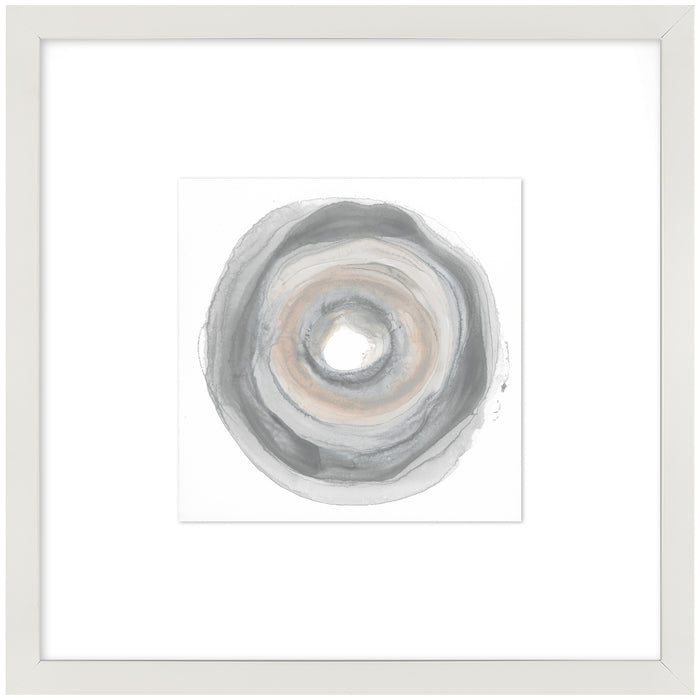 Sea Shell II Framed Artwork Raised Under Glass with Mat - 24\" x 24\"