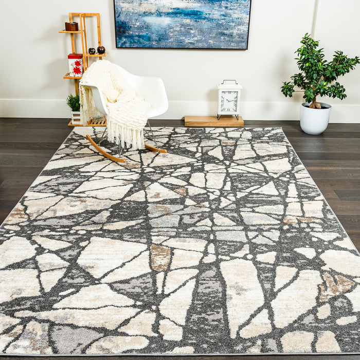 Darius Broken Ice Area Rug - 6'7\" x 9'6\"
