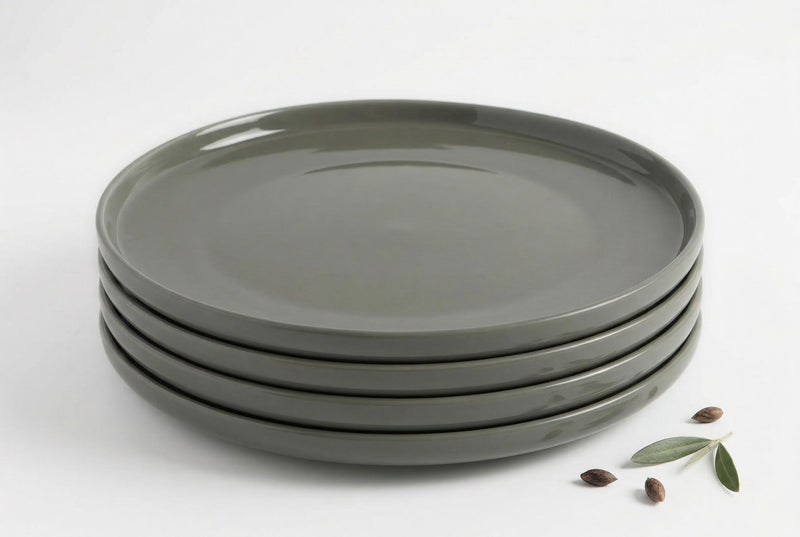 Gaia Stoneware Dinner Plates, Set of 4 (10.5-Inch)