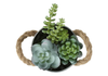 7” Artificial Potted Succulent in 5” Metal Pot – set of 2 | Plante grasse artificielle de 7 po en pot de 5 po en métal - ensemble de 2