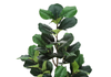 49” Artificial Indoor Fiddle Tree in 5” Pot  | Figuier lyre artificiel de 49 po en pot de 5 po pour l’intérieur