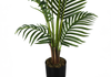 57” Artificial Indoor Palm Tree in 5” Pot  | Palmier artificiel de 57 po en pot de 5 po pour l’intérieur