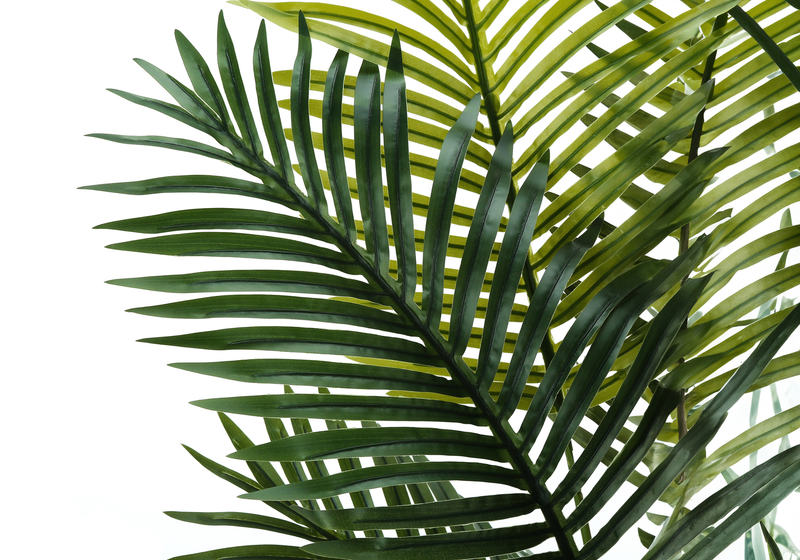 57” Artificial Indoor Palm Tree in 5” Pot 