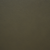 Viero 64.2" Genuine Leather Loveseat - Green   | Causeuse Viero de 64,2 po en cuir véritable - verte