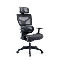 Tygerclaw High Back Executive Ergonomic Mesh Office Chair - Black