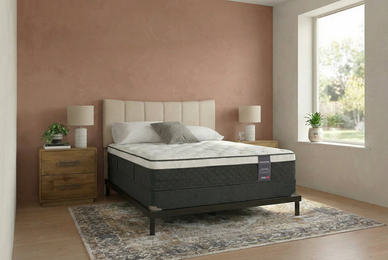 Springwall Encore Imagine Eurotop Plush Twin Mattress Set