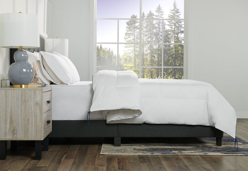 Kort & Co. King Duvet Insert