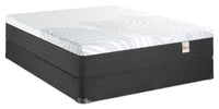 Springwall Spa 12 Plush Smooth Top Full Mattress in a Box Set 