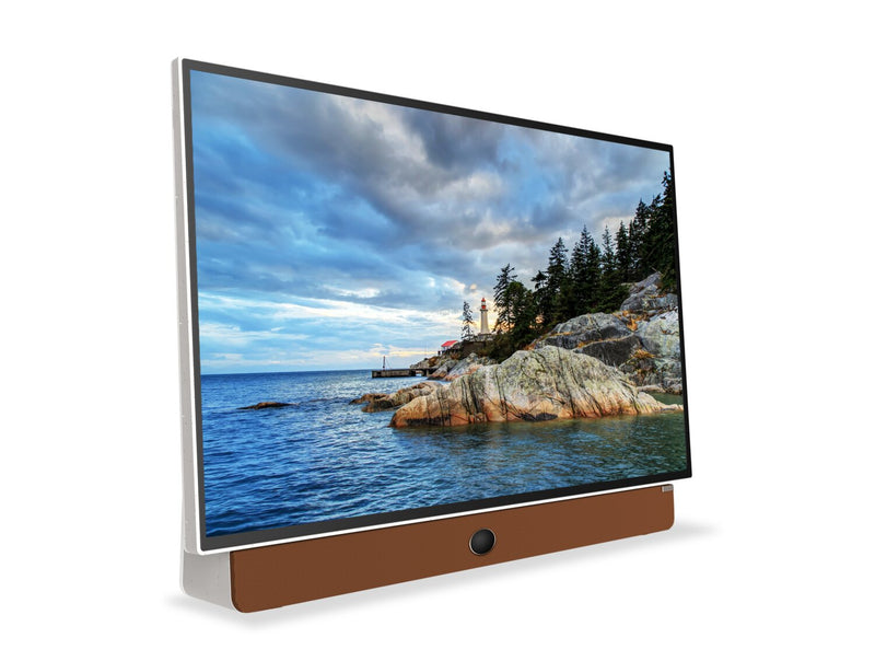  Skyworth Companion Portable™ 1080p FHD LED Display w/ Google TV (24P100) 