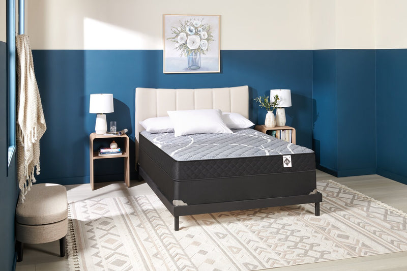 Springwall White Birch Tight Top Firm Twin XL Mattress-in-a-Box