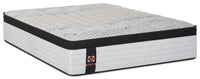 Sealy Posturepedic® Plus 1000 Series Bronson Eurotop Medium Queen Mattress 