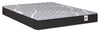 Springwall White Birch Tight Top Firm Twin XL Mattress-in-a-Box