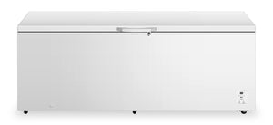 Hisense 25 Cu. Ft. Garage Ready Convertible Chest Refrigerator-Freezer - White - FC25D6CWD
