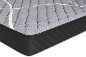 Springwall White Birch Tight Top Firm Queen Mattress-in-a-Box