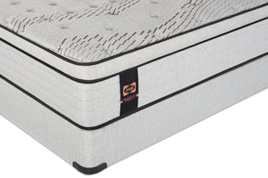 Sealy Posturepedic® Plus Alora Eurotop Plush Full Mattress Set
