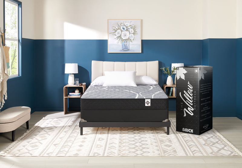 Springwall White Birch Tight Top Firm Twin XL Mattress-in-a-Box
