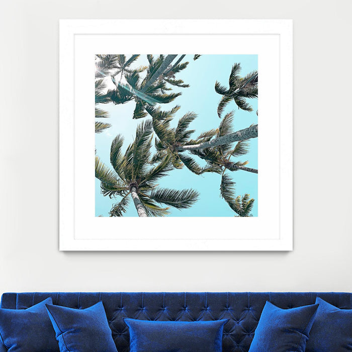 \"Palm 03\" Matted and Framed White 30x30 Wall Art