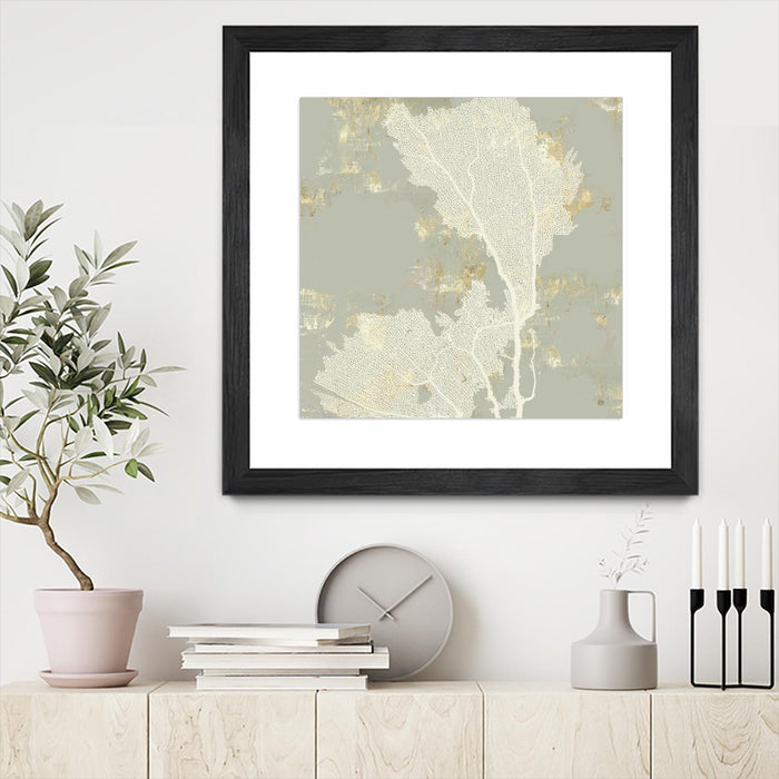 \"Sea Coral Ii\" Matted and Framed Black 36x36 Wall Art