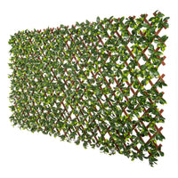 PVC Expandable Trellis 36
