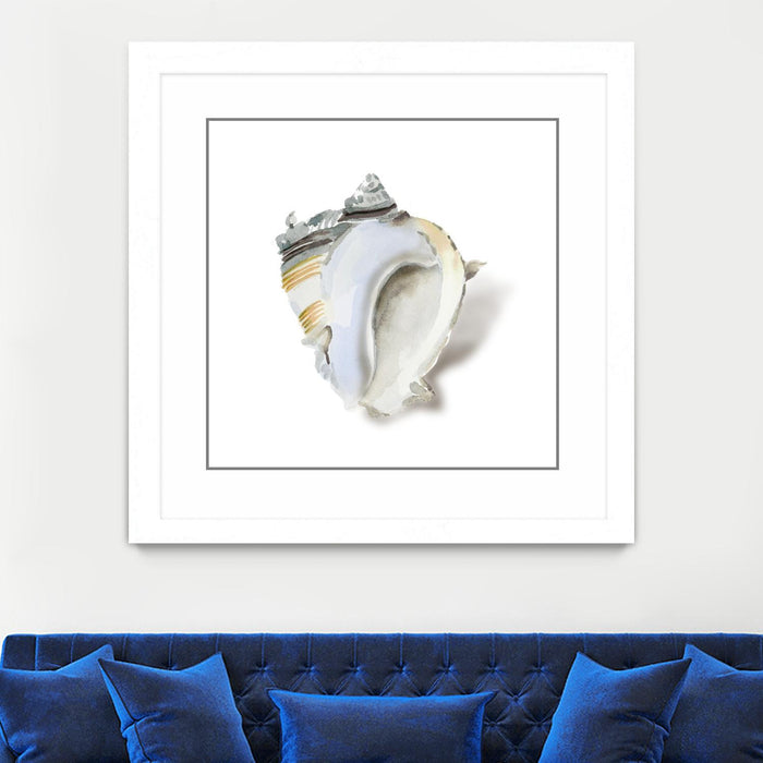 \"Seafoam Shell\" Matted and Framed White 30x30 Wall Art