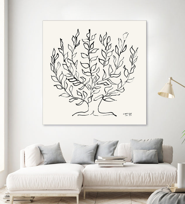 \"L'arbre Platane\" Giant Art 72x72 Wall Art
