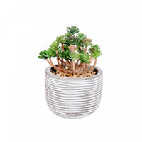 Artificial Succulent in Cement Pot - Set of 2 Artificial Flower