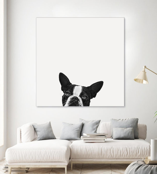 \"Loyalty\" Giant Art 54x54 Wall Art