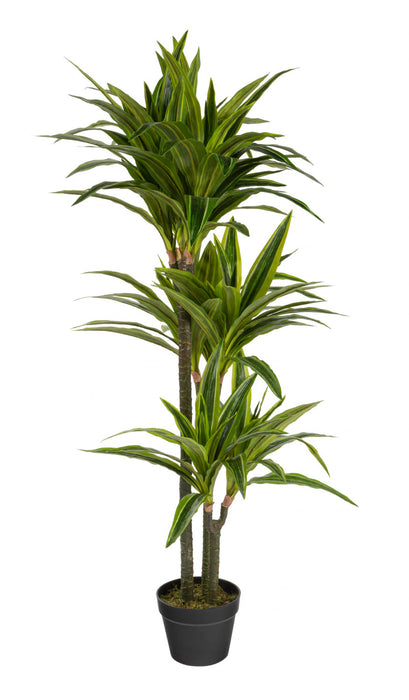 Artificial 47\" Dracaena In Black Pot