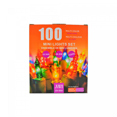 100 Lt Indoor/outdoor Mini Light Set Multi Bulbs - Set of 2 Christmas Lights|Jeu de 100 petites lumières pour l’intérieur et l’extérieur avec ampoules multicolores - ensemble de 2 jeux de lumières de Noël