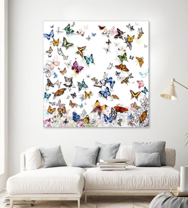 \"Papillon\" Giant Art 72x72 Wall Art
