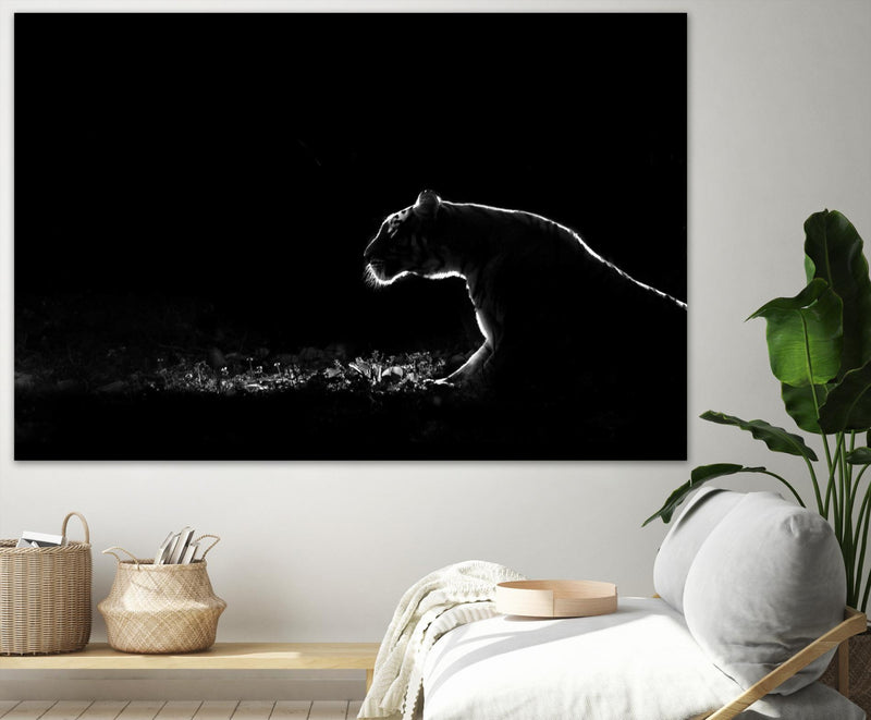 \"Amot - Untitled\" Giant Art 84x54 Wall Art
